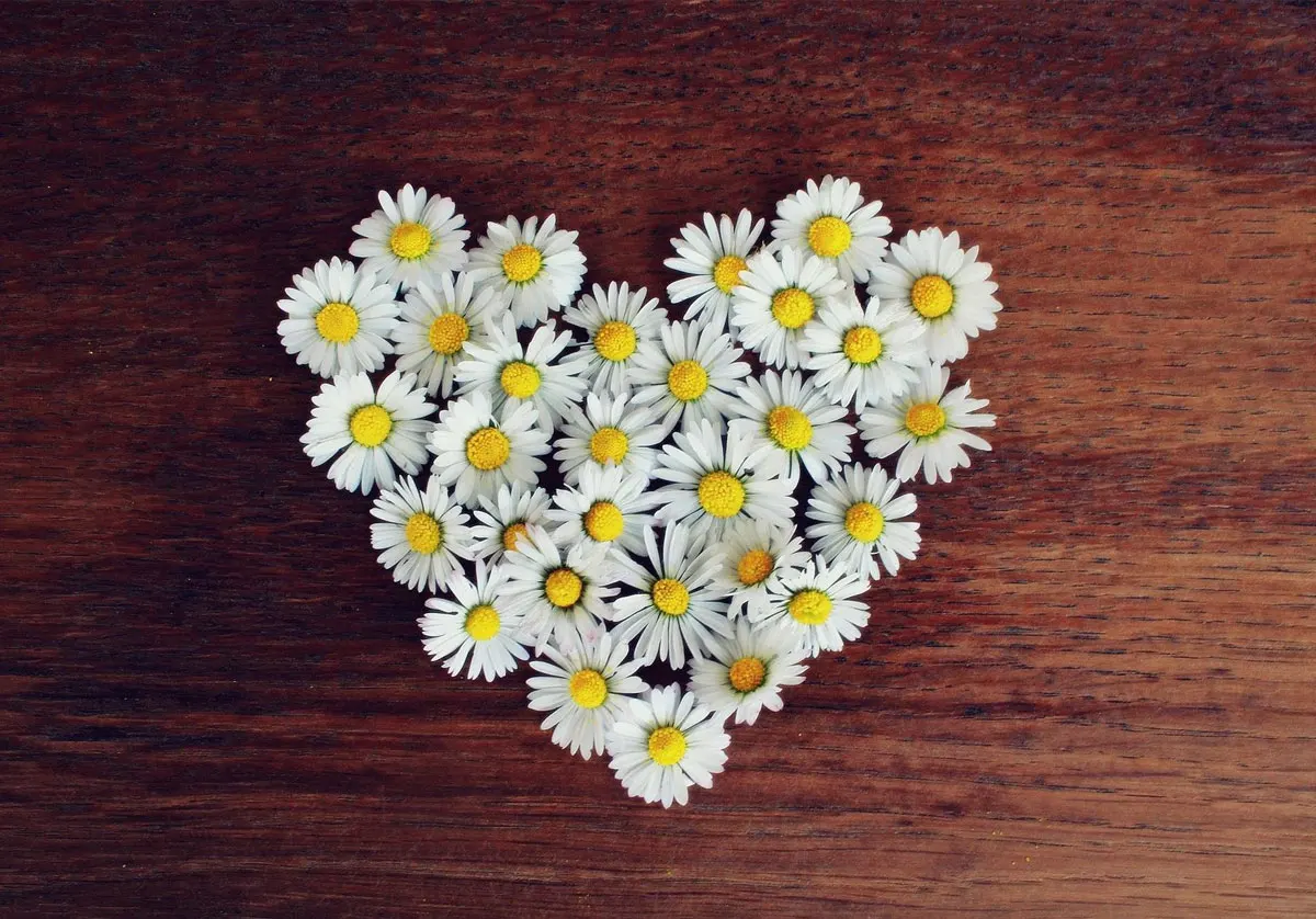 Flowerpower